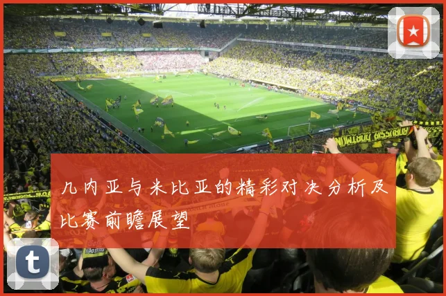 几内亚与米比亚的精彩对决分析及比赛前瞻展望