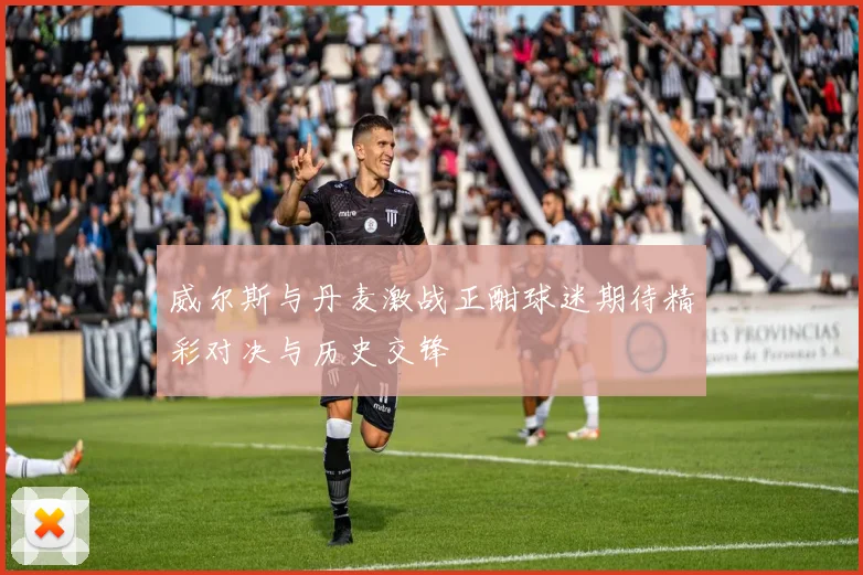 威尔斯与丹麦激战正酣球迷期待精彩对决与历史交锋