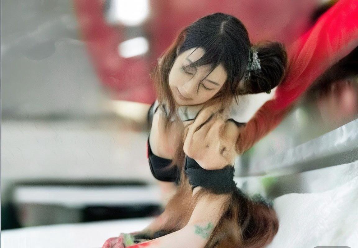 2000年欧洲杯意荷巅峰对决：半决赛经典回顾(图2)