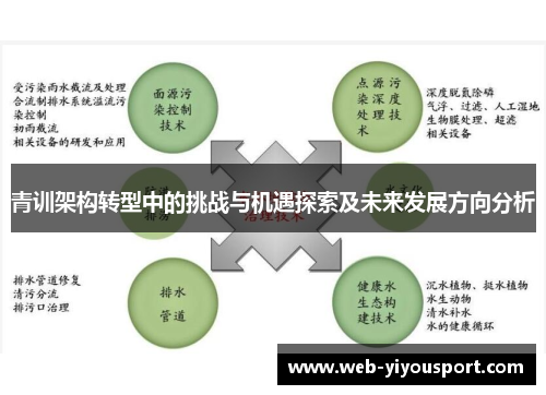 青训架构转型中的挑战与机遇探索及未来发展方向分析