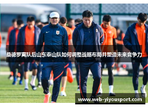 桑德罗离队后山东泰山队如何调整战略布局并塑造未来竞争力