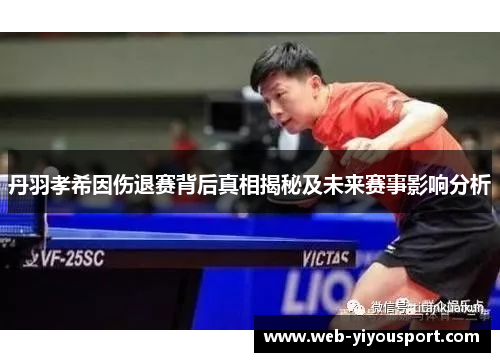 丹羽孝希因伤退赛背后真相揭秘及未来赛事影响分析